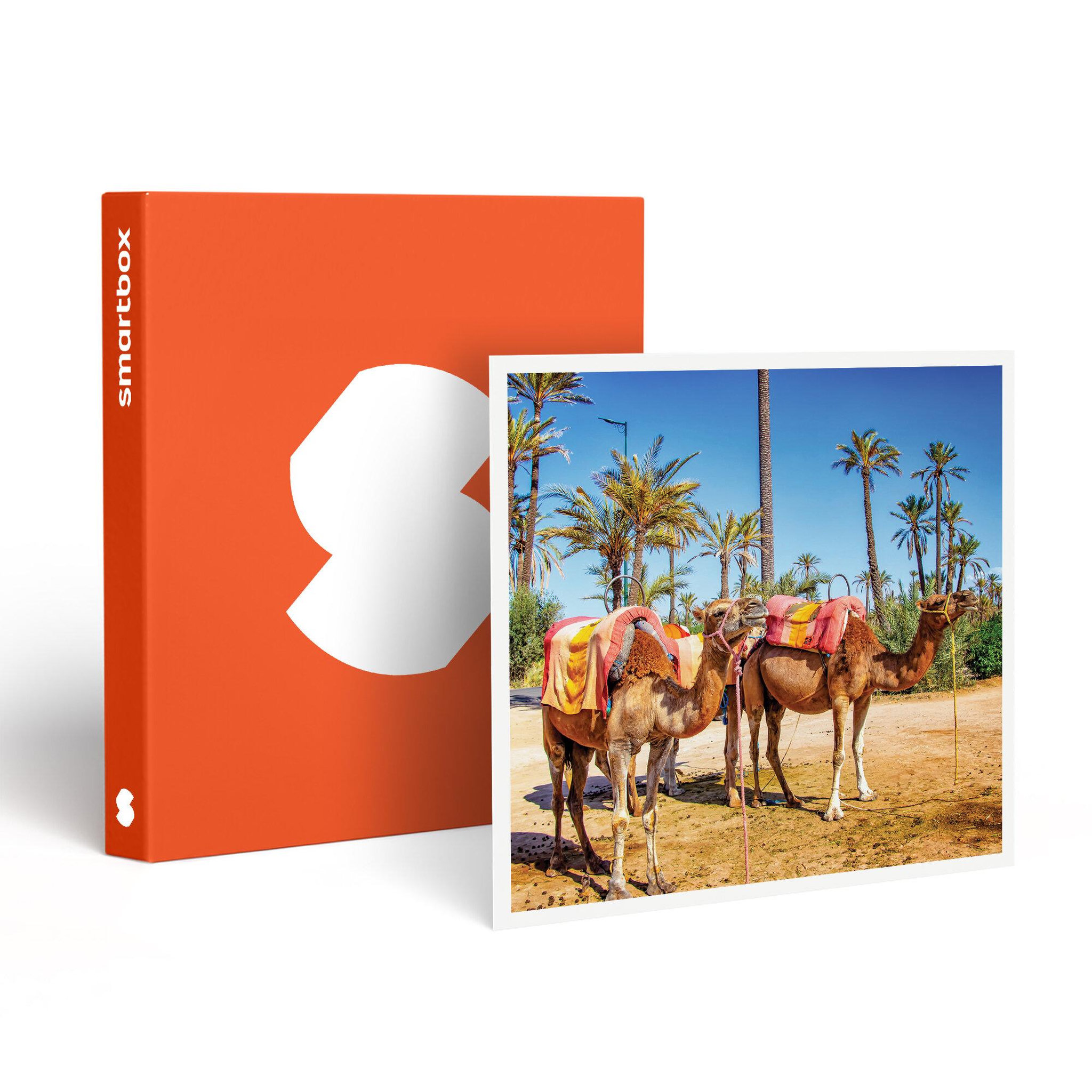Smartbox 3 jours en riad avec hammam et excursion en dromadaire dans la palmeraie de marrakech - coffret cadeau séjour