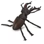 Figurines Collecta Figurine : scarabée cerf-volant