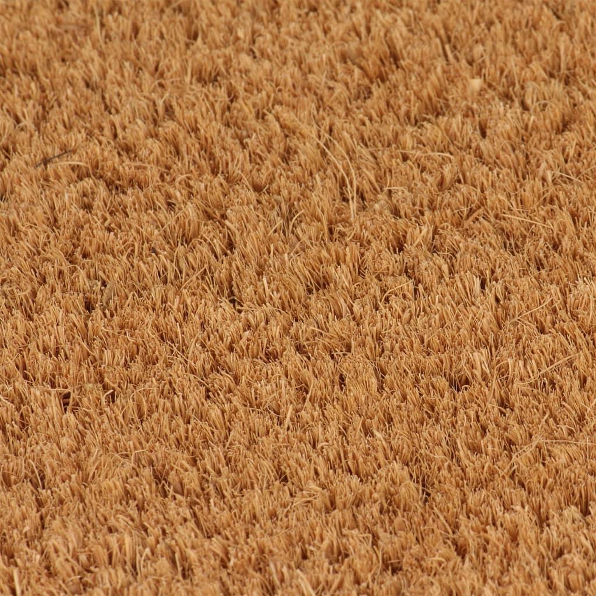 Voir la diapositive 3 : VIDAXL Tapis de porte naturel 100x200 cm fibre de coco touffete