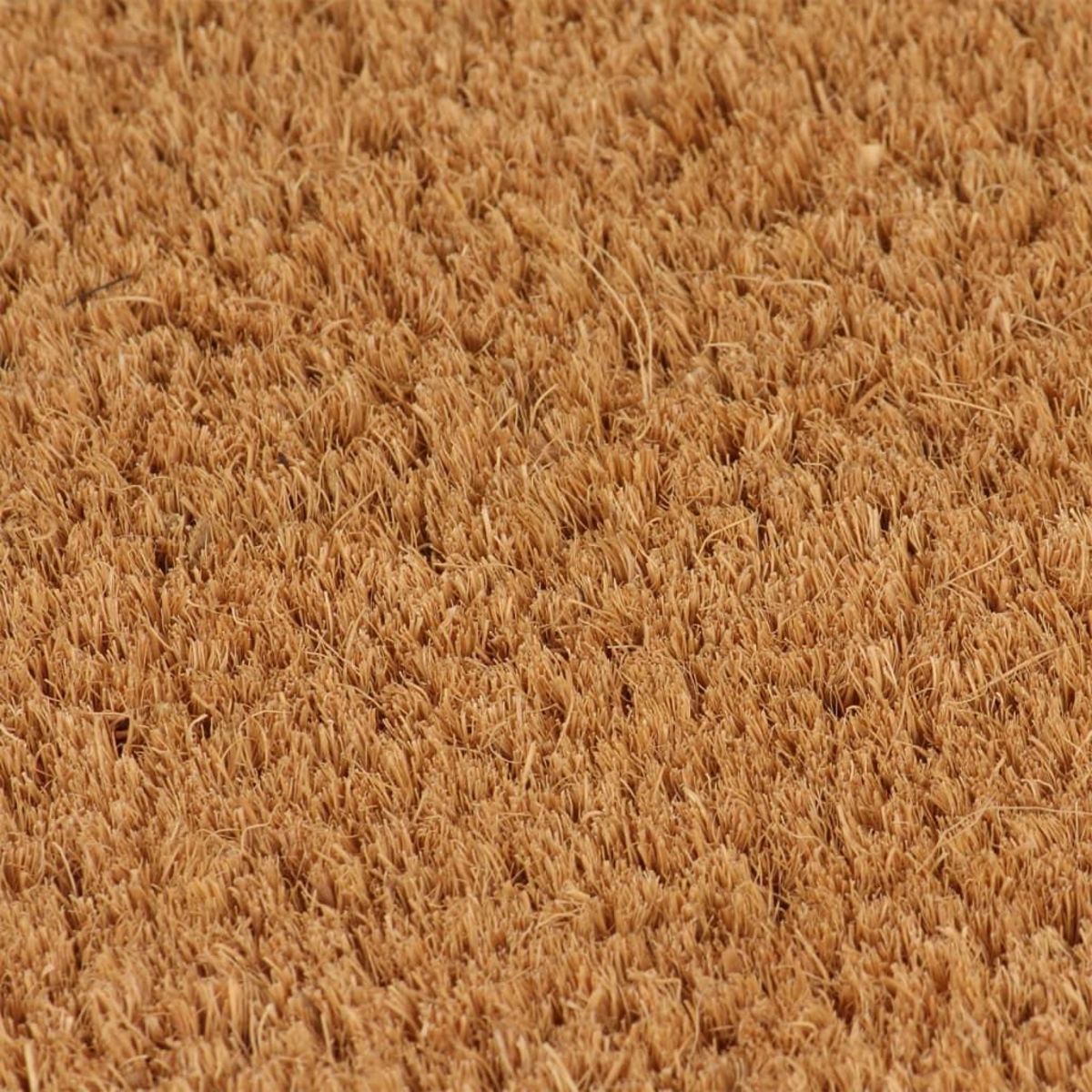 VIDAXL Tapis de porte naturel 100x200 cm fibre de coco touffete