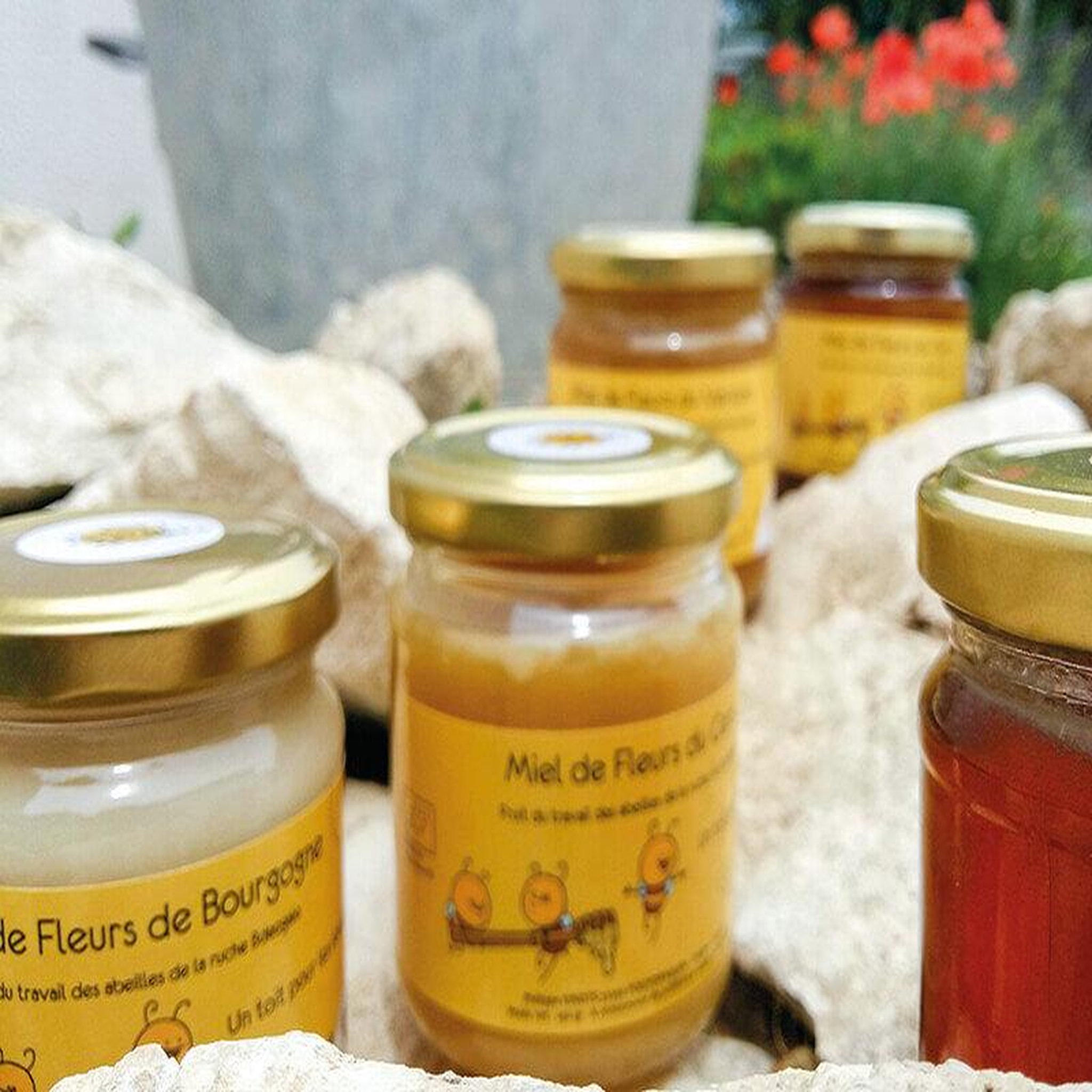 Voir la diapositive 3 : Smartbox Participez à la sauvegarde des abeilles avec 1 an de parrainage d'une ruche - Coffret Cadeau Multi-thèmes