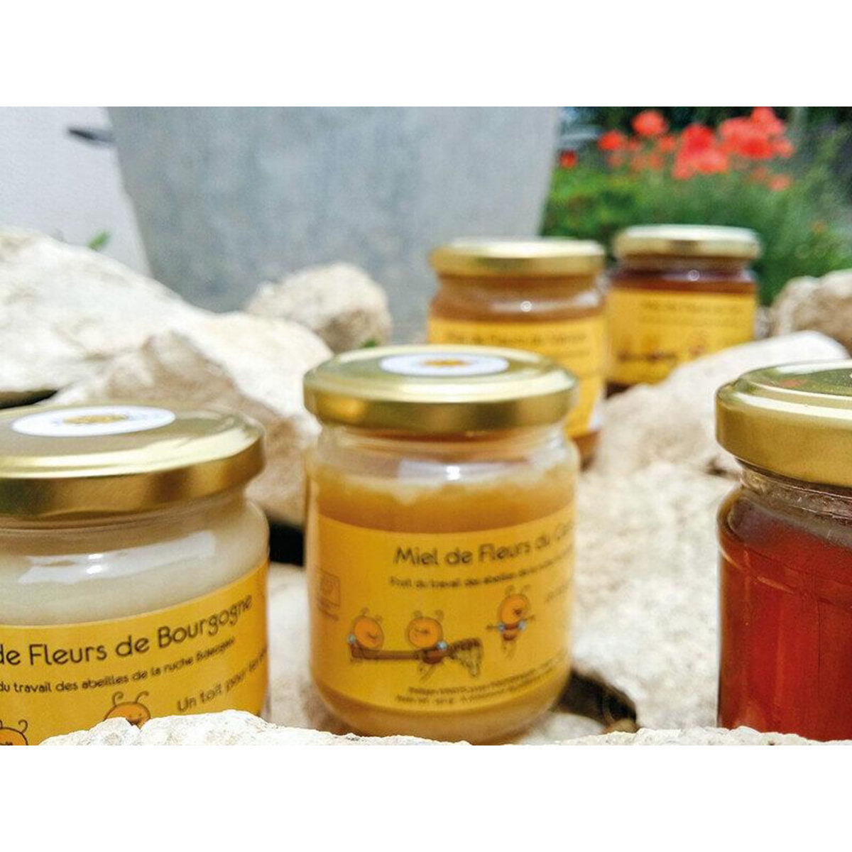 Smartbox Participez à la sauvegarde des abeilles avec 1 an de parrainage d'une ruche - Coffret Cadeau Multi-thèmes