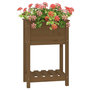 Voir la diapositive 4 : VIDAXL Jardiniere avec etagere Marron miel 54x34,5x81 cm Bois de pin