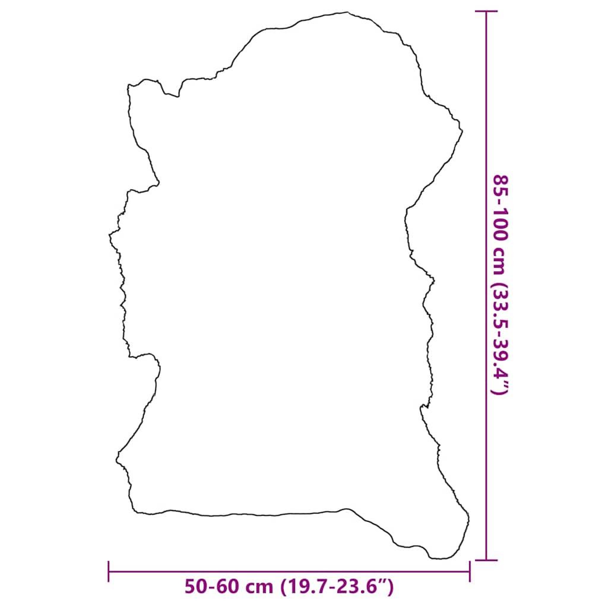 Voir la diapositive 6 : VIDAXL Peau de mouton Couleur melangee (60-70)x(90-100) cm