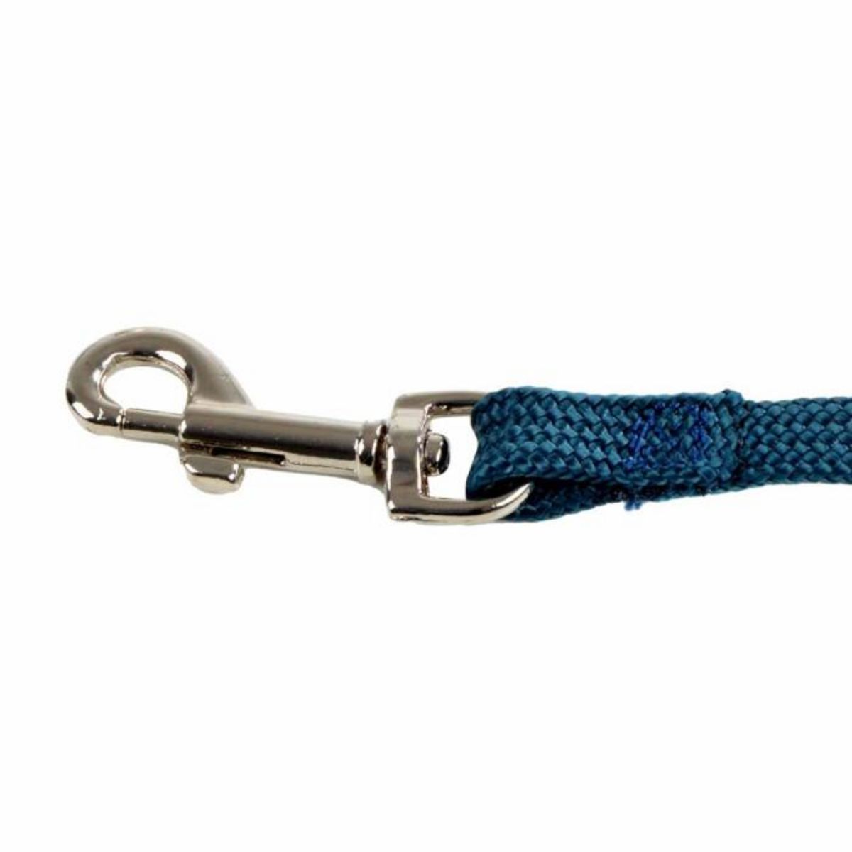 Paris Prix Laisse Fine pour Chien  Essentiel  120cm Émeraude