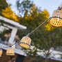 Voir la diapositive 2 : Lumisky Guirlande lumineuse MALY Beige Bambou 8m