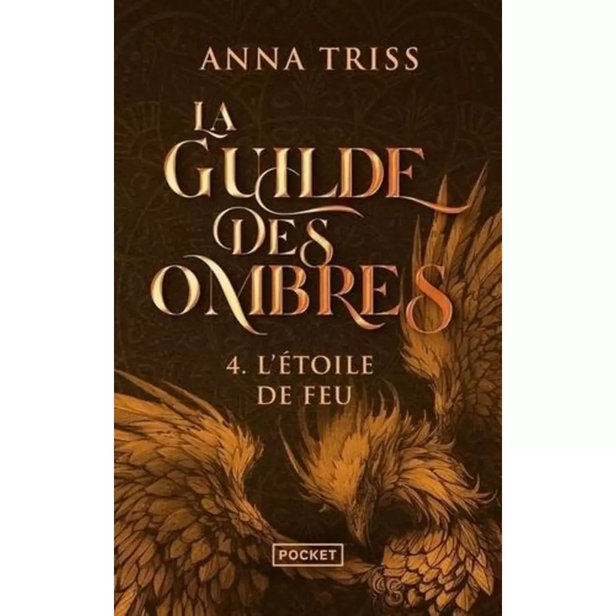  LA GUILDE DES OMBRES TOME 4 : L'ETOILE DE FEU, Triss Anna