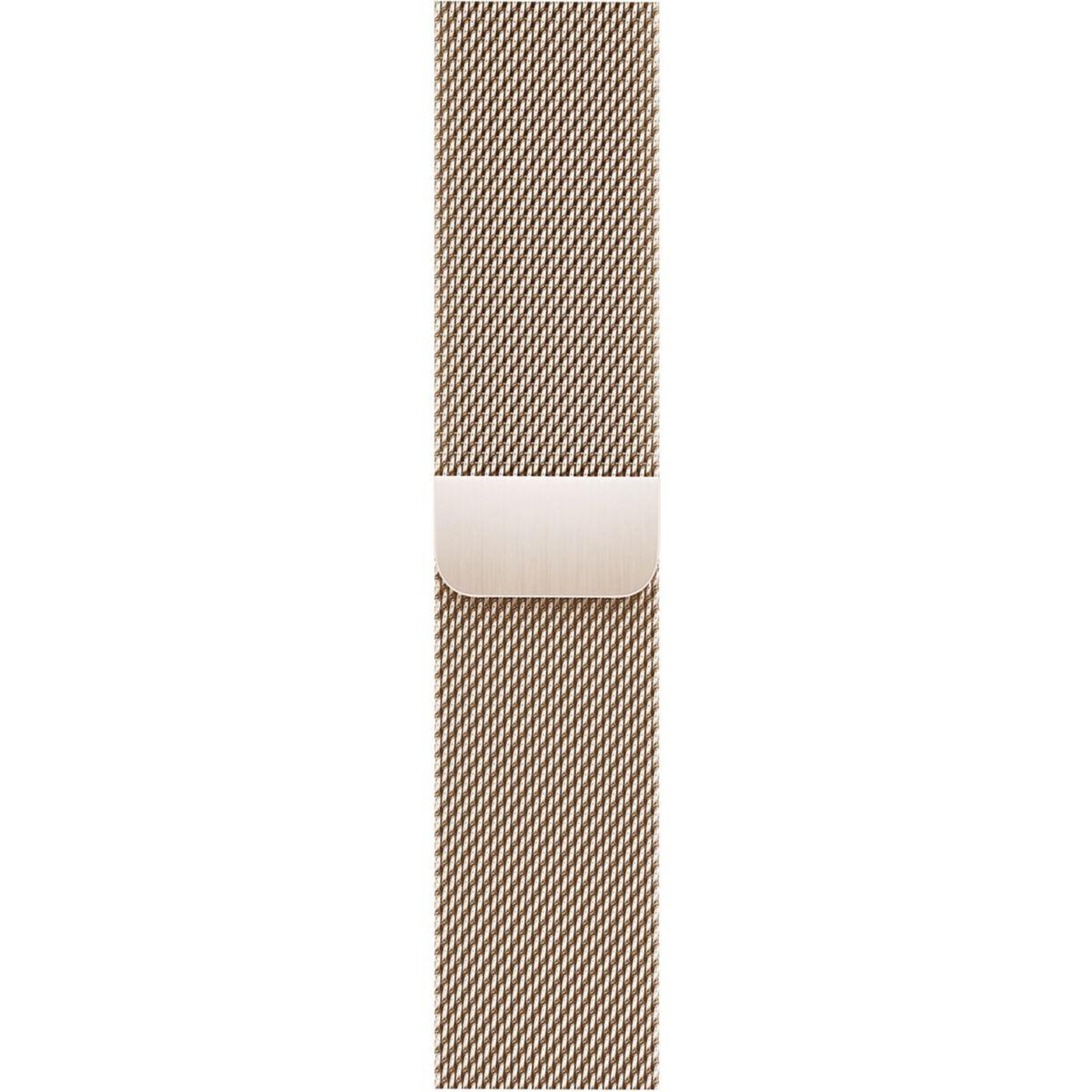 ADEQWAT Bracelet 38/40/41 mm Titane Or