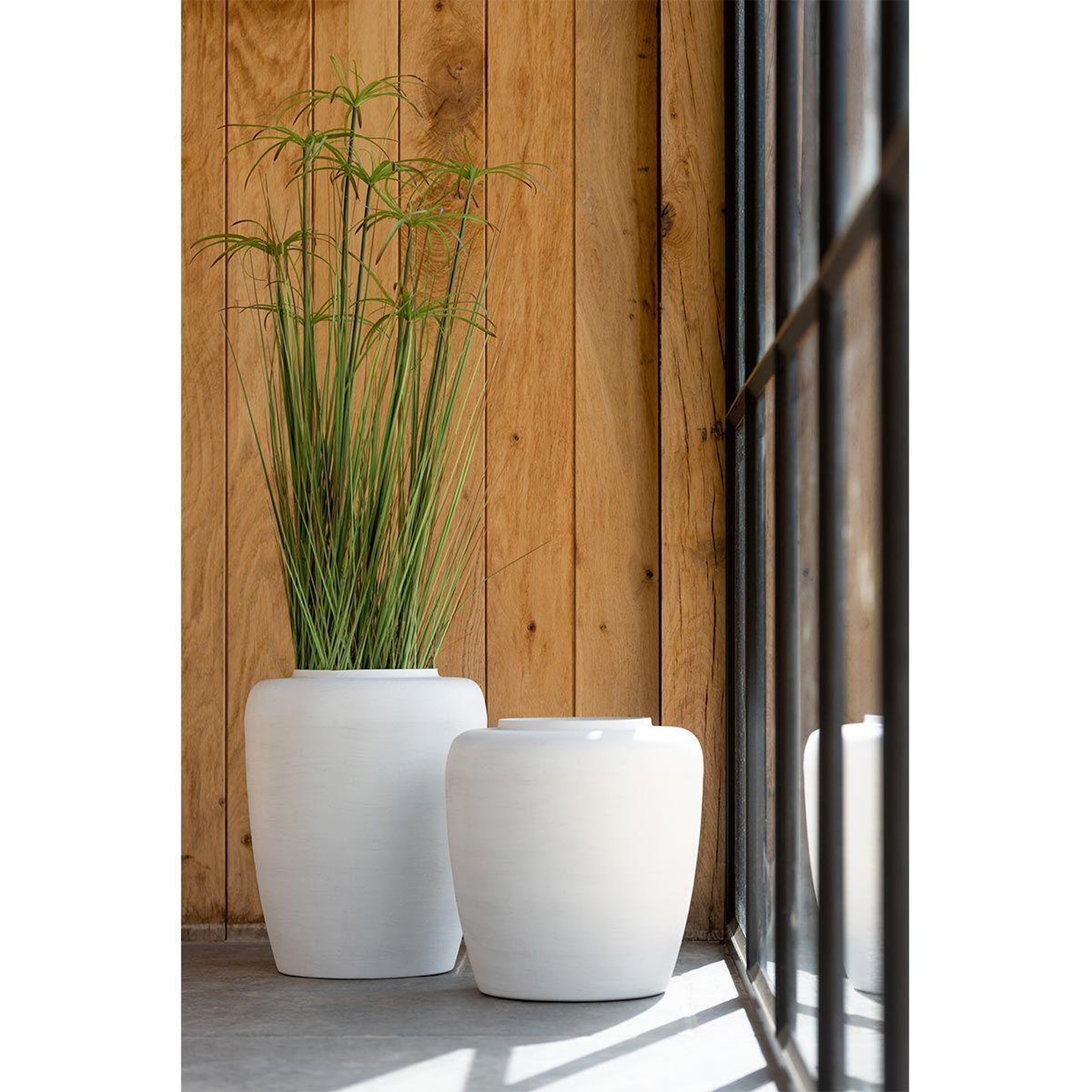 Voir la diapositive 2 : J-LINE Plante artificielle  cyperus alternifolius 5 têtes  100cm vert