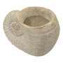 Voir la diapositive 4 : Paris Prix Vase Design Effet Sable  Shell  33cm Beige