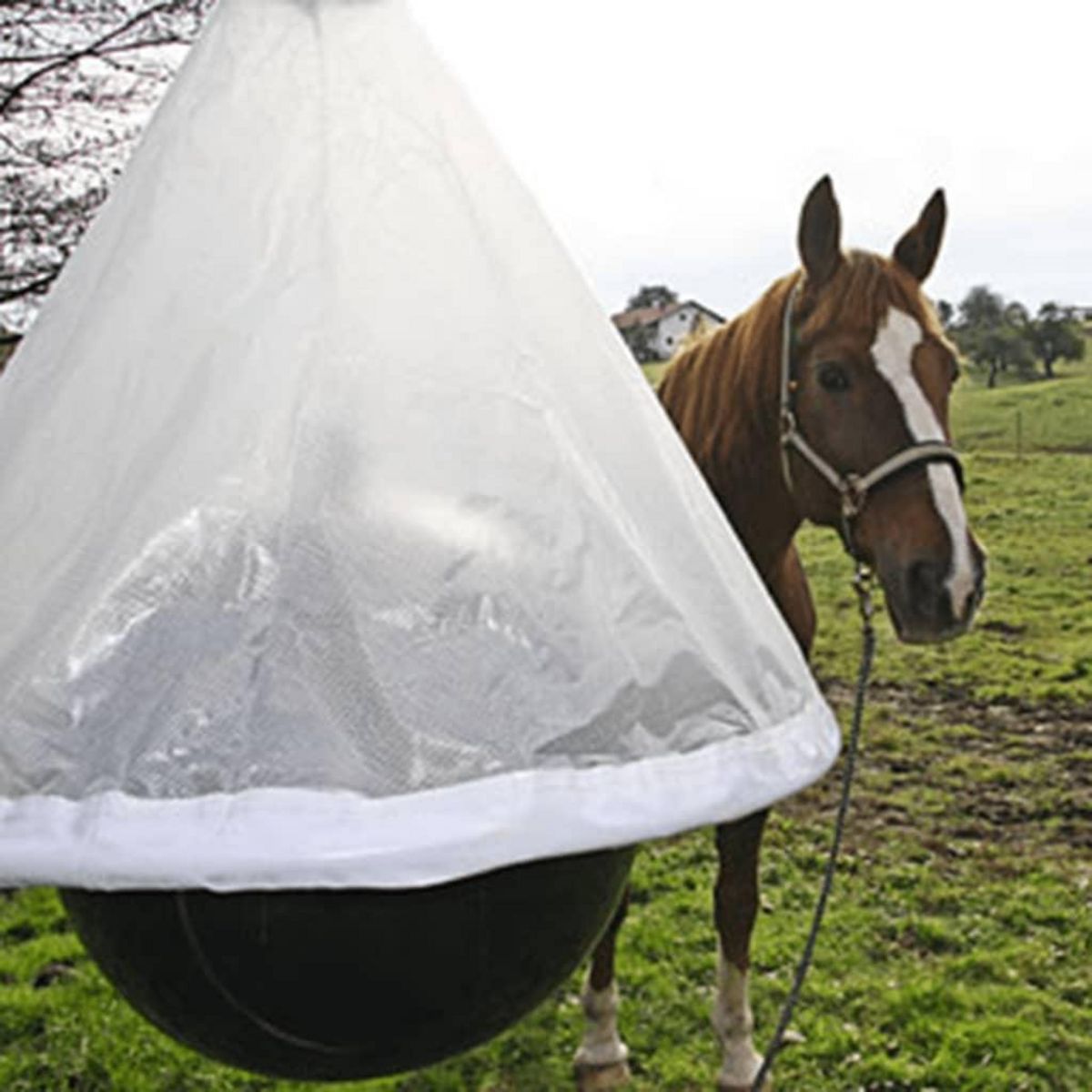 KERBL Kerbl Piege a taons TaonX Fer galvanise Blanc et noir