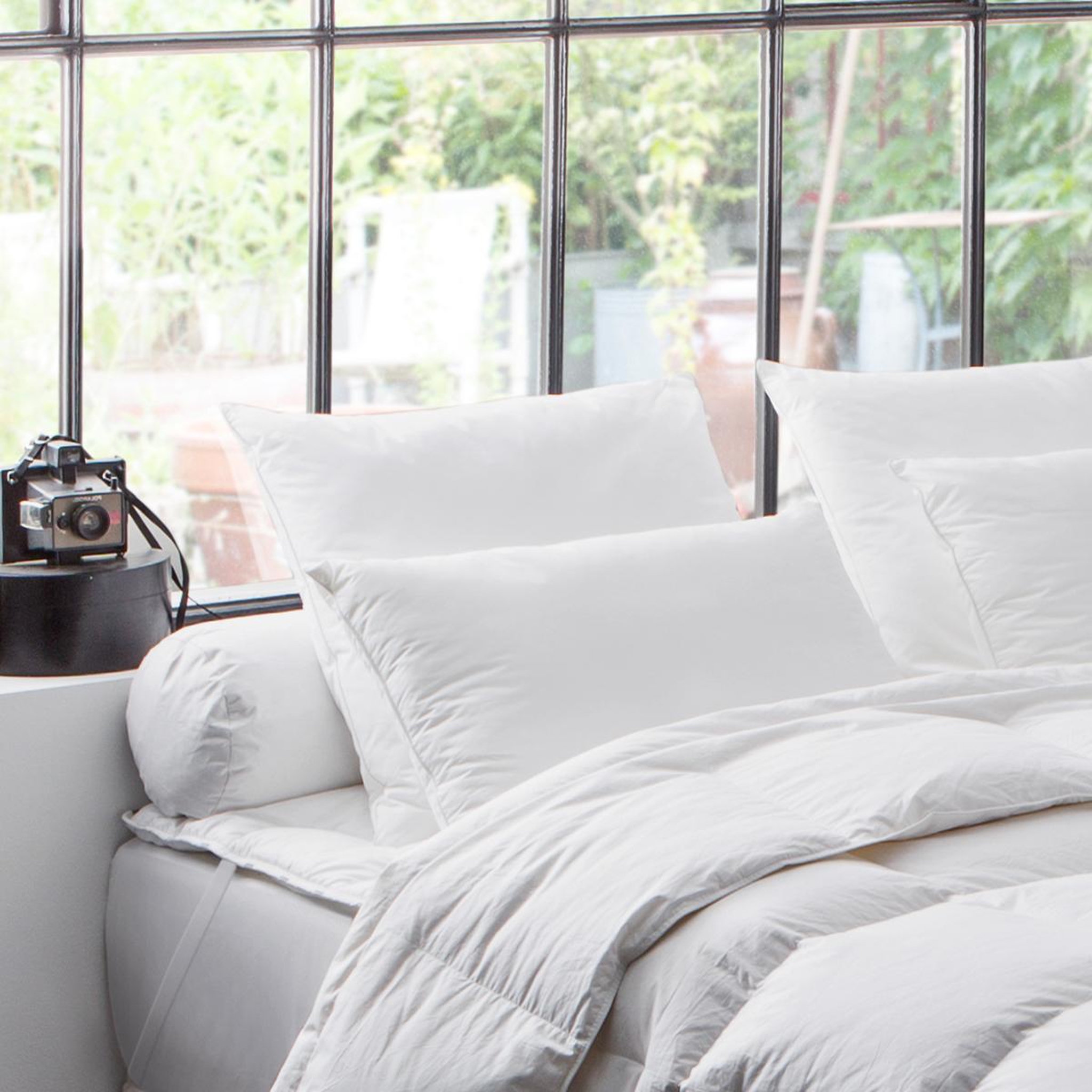 Voir la diapositive 1 : DODO Oreiller naturel 90% duvet de Canard