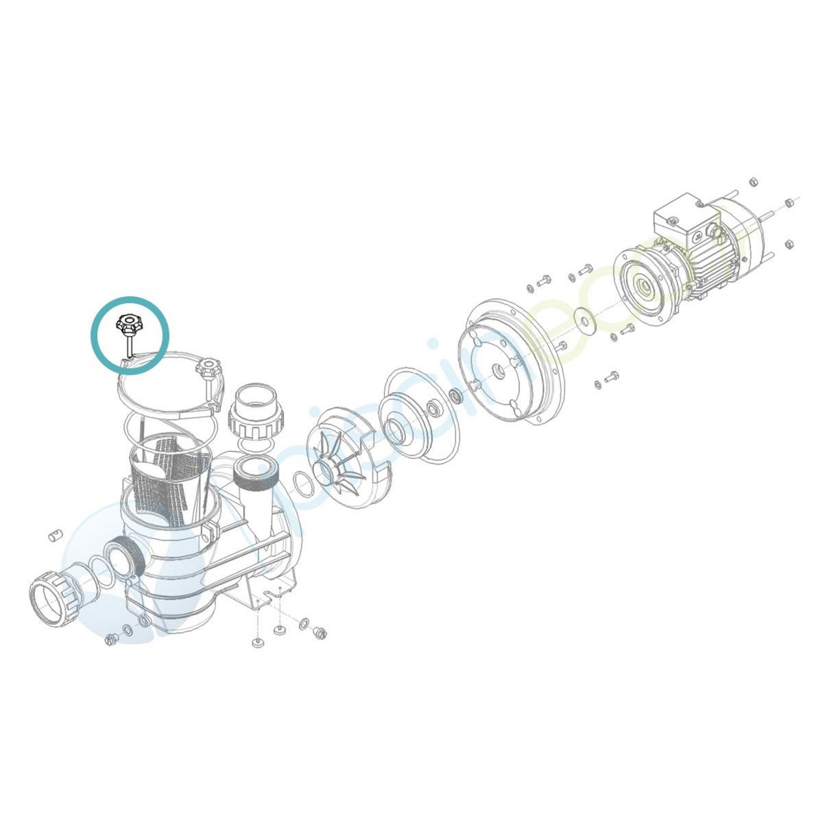 HYDROSWIM Poignée de serrage couvercle de pompe - Hydroswim