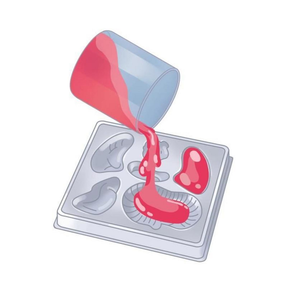 CLEMENTONI Mini Labo d'anatomie CLEMENTONI