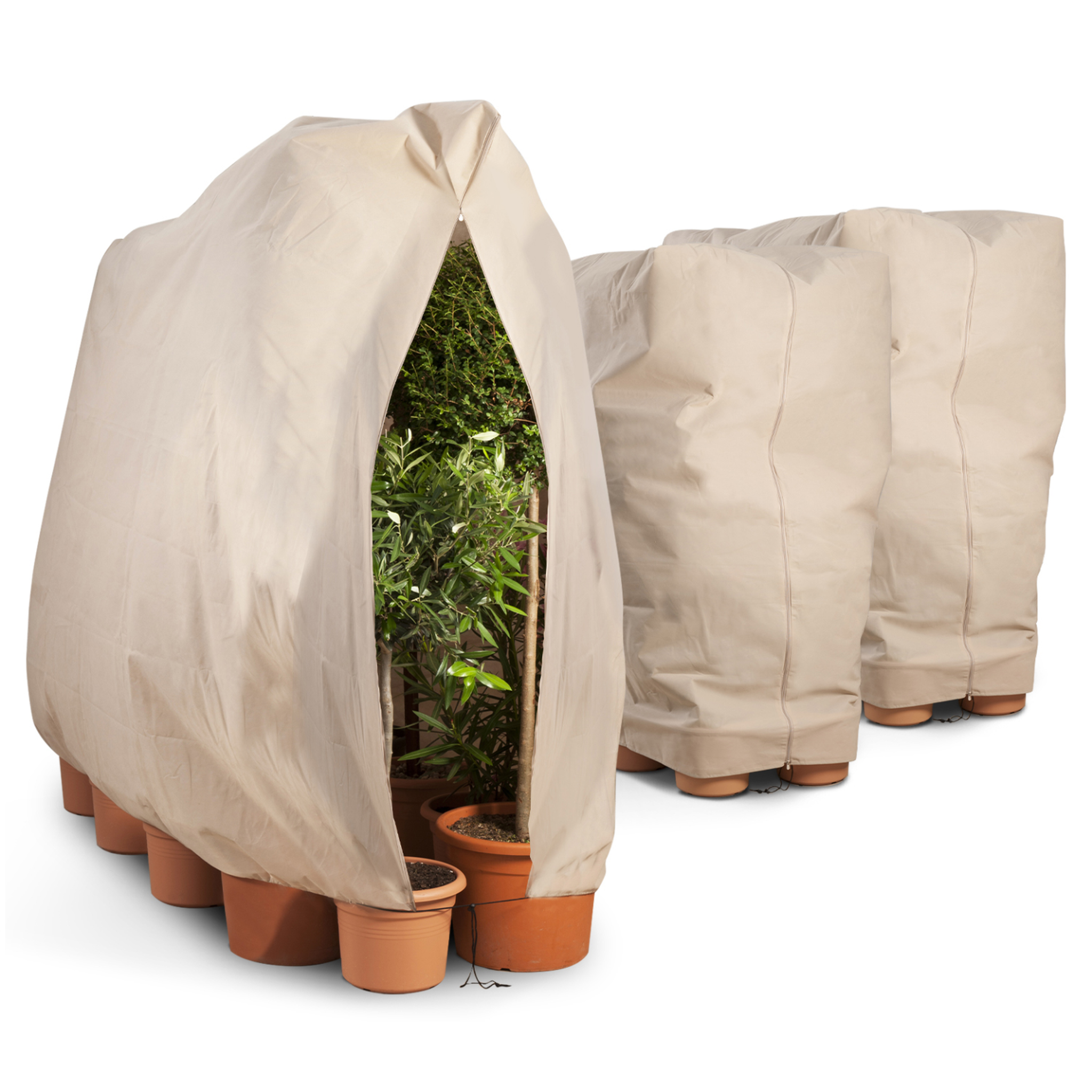 ID MARKET Lot de 3 housses d'hivernage pour plante et arbuste 80 x 160 cm