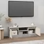 VIDAXL Meuble TV avec porte Gris beton 102x30x36 cm