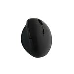 LOGILINK Souris sans fil LogiLink ergonomique 1600 DPI noire