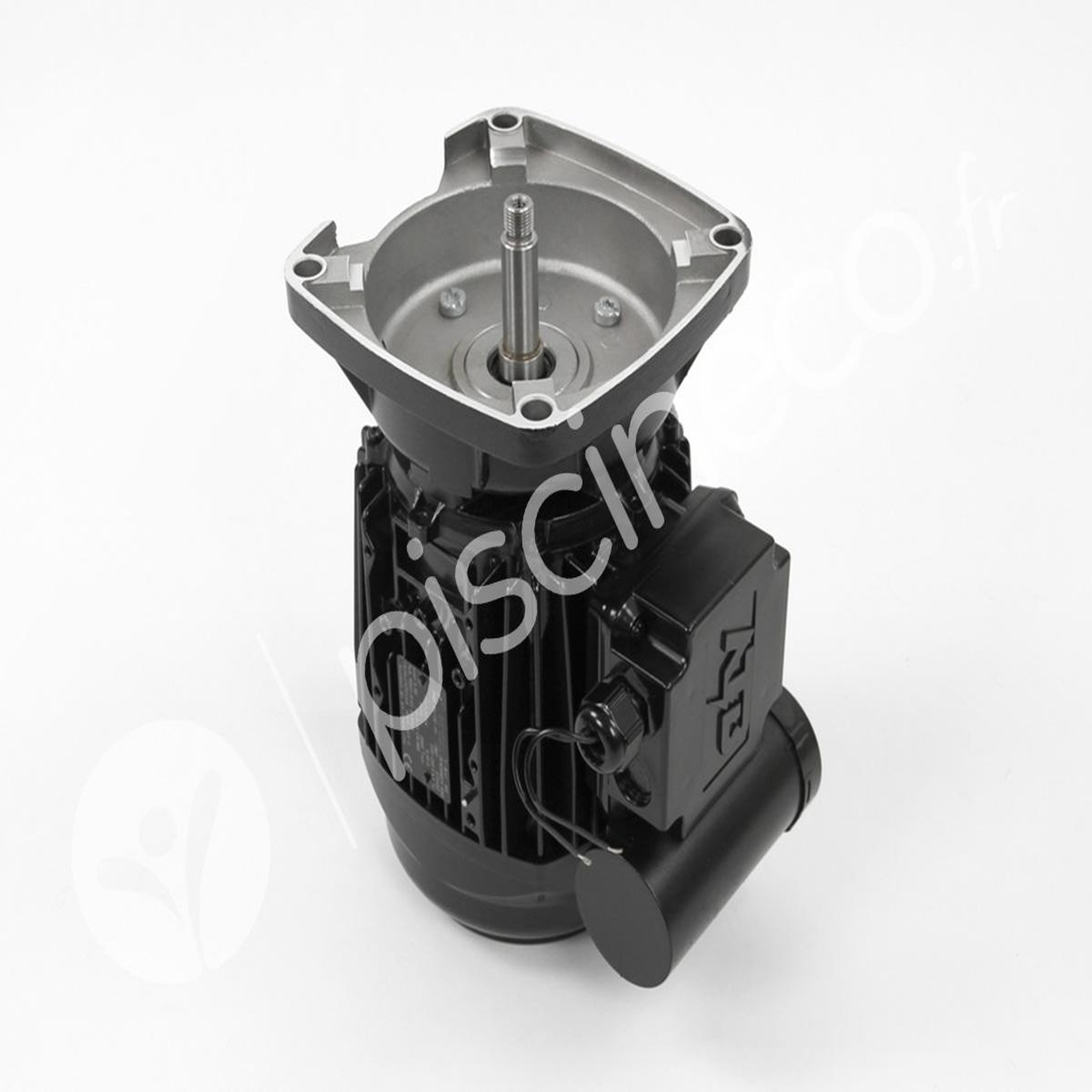 Pentair Moteur pour pompes La Sta-Rite 1,50 CV Tri - Pentair