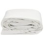 Voir la diapositive 3 : VIDAXL Bache blanc 4x6 m 600 /m²