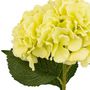 Voir la diapositive 2 : ATMOSPHERA Tige Hortensia Artificielle  Serata  83cm Vert Clair