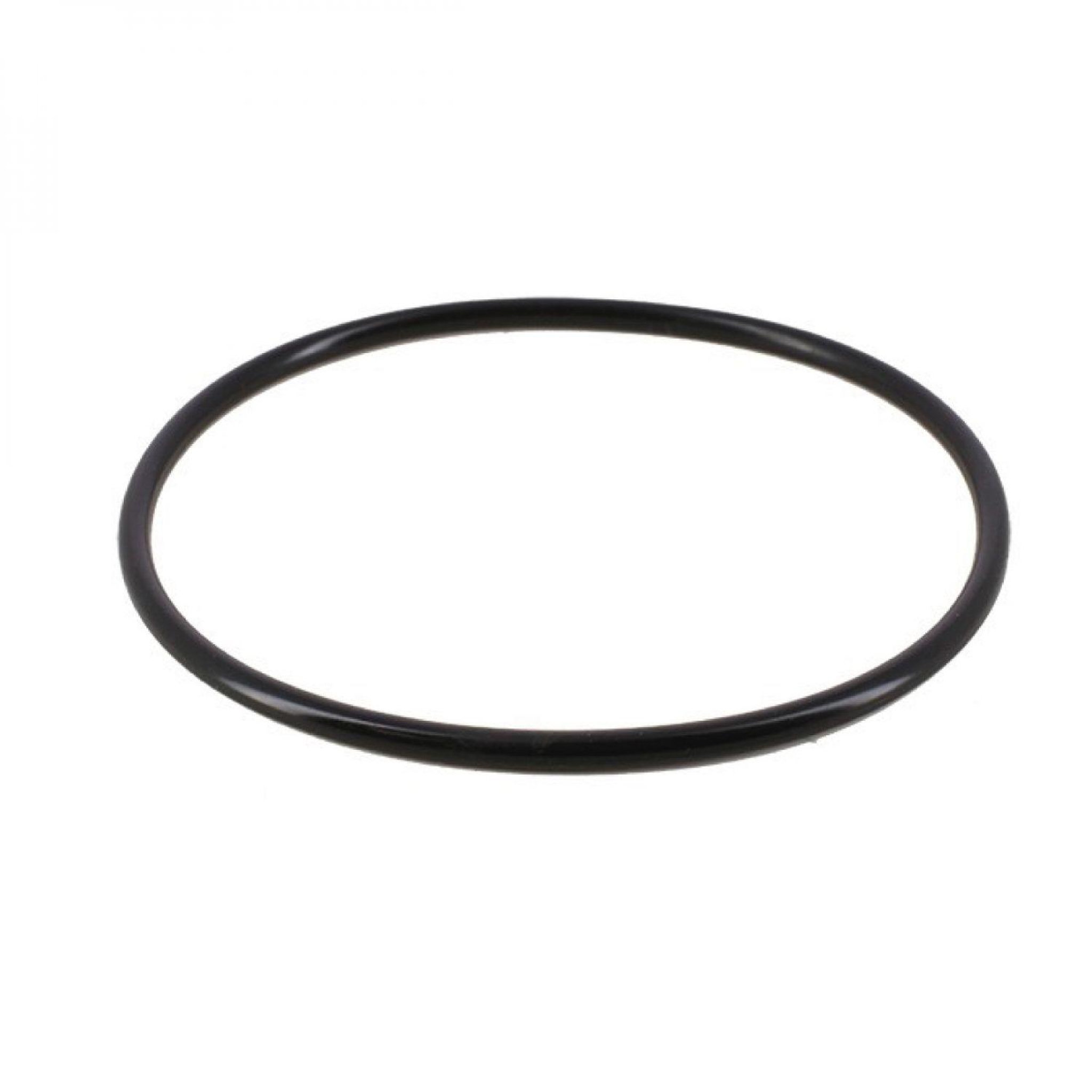 Hayward Joint torique pour chlorinateur de piscine - CLX200K - Noir
