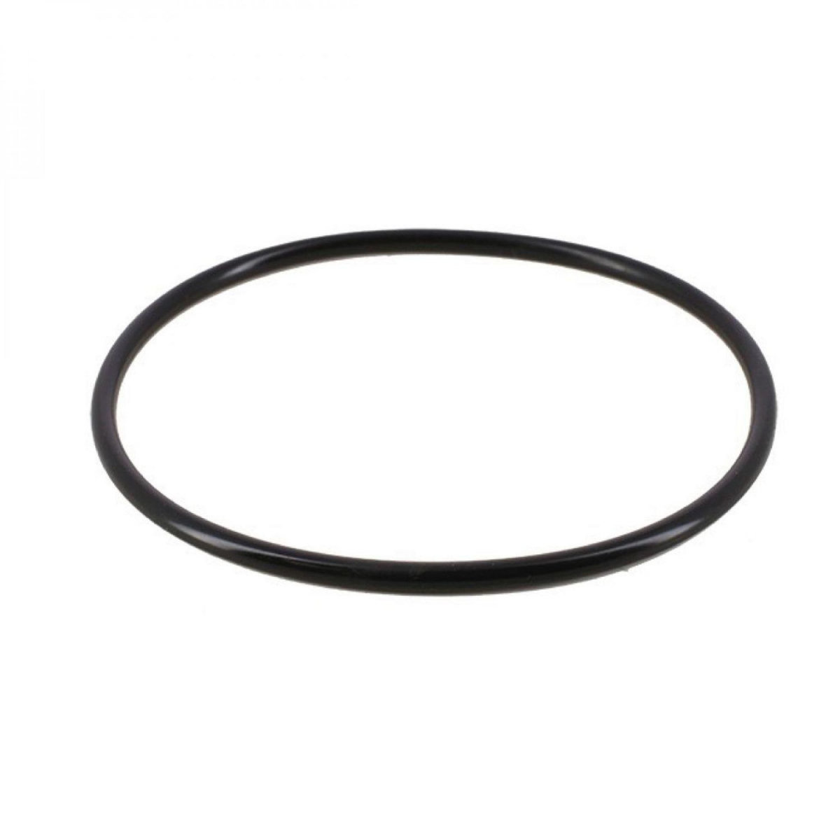 Hayward Joint torique pour chlorinateur de piscine - CLX200K - Noir