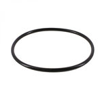 Hayward Joint torique pour chlorinateur de piscine - CLX200K - Noir