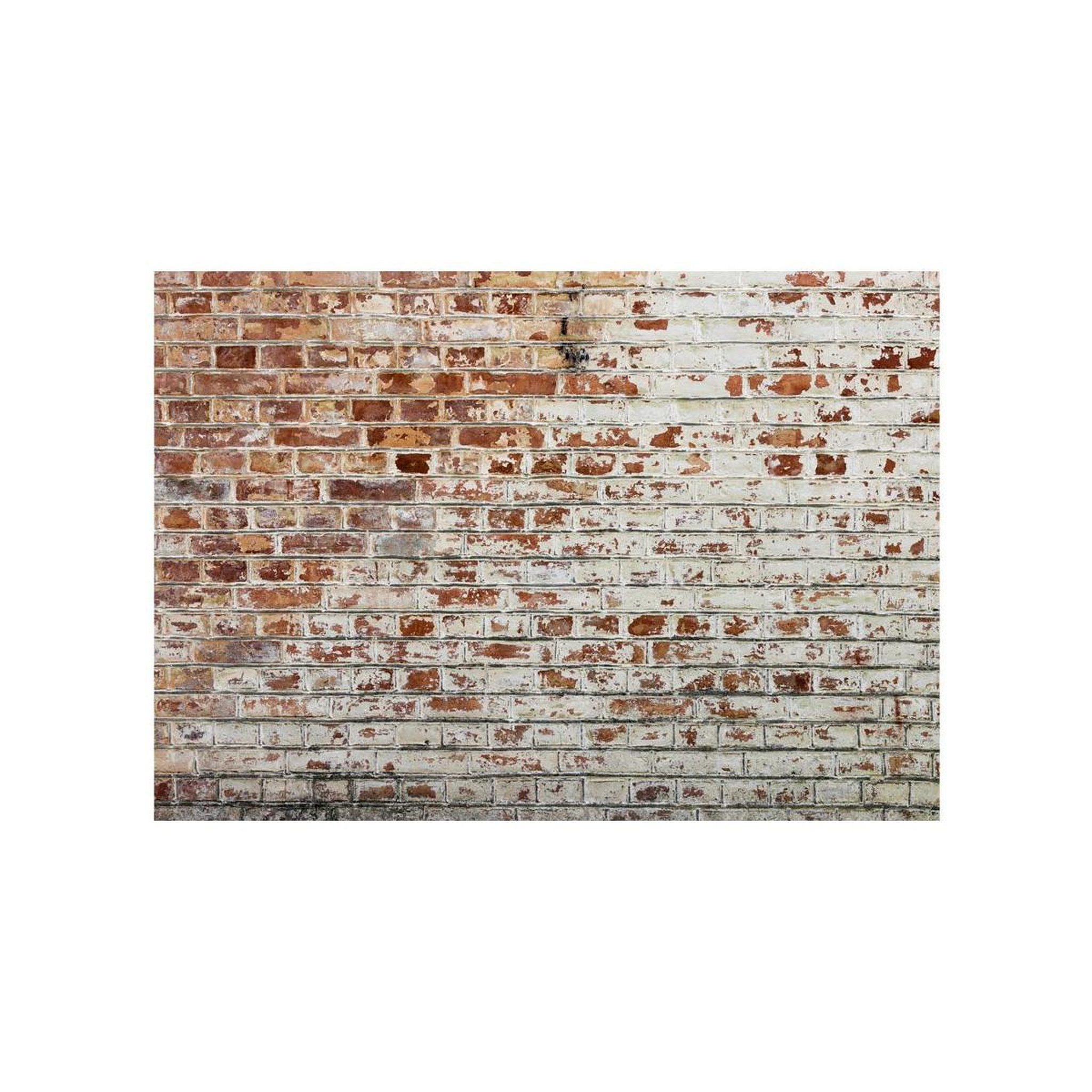 Voir la diapositive 2 : Paris Prix Papier Peint  Walls of Memory