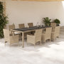 Voir la diapositive 1 : VIDAXL Ensemble a manger de jardin et coussins 9 pcs beige rotin verre