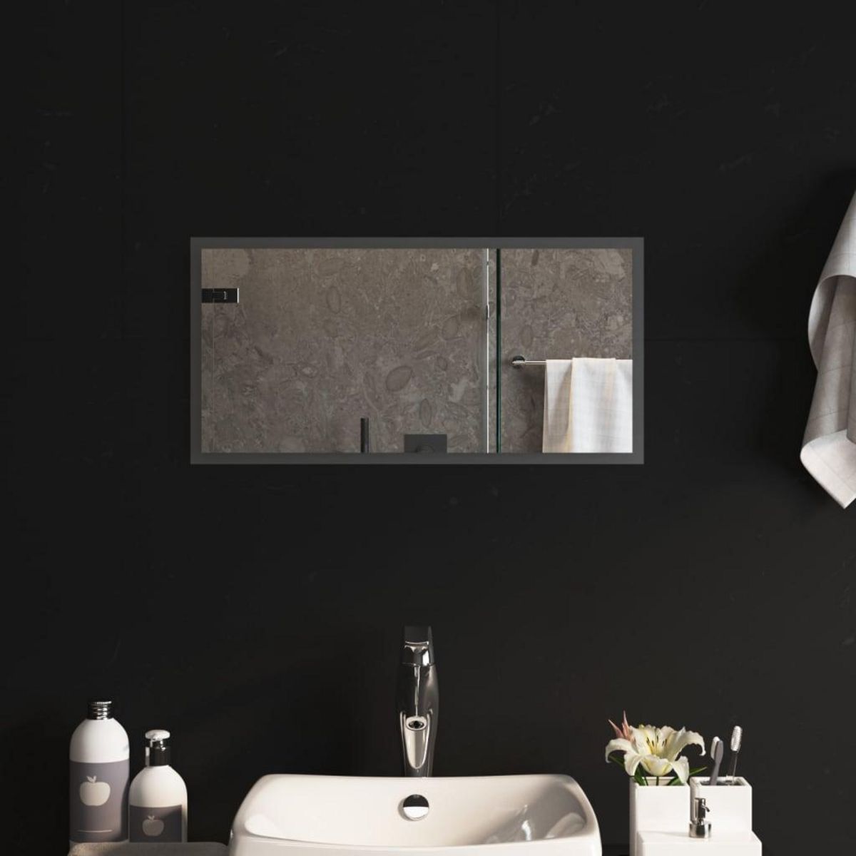 VIDAXL Miroir de salle de bain a LED 30x60 cm