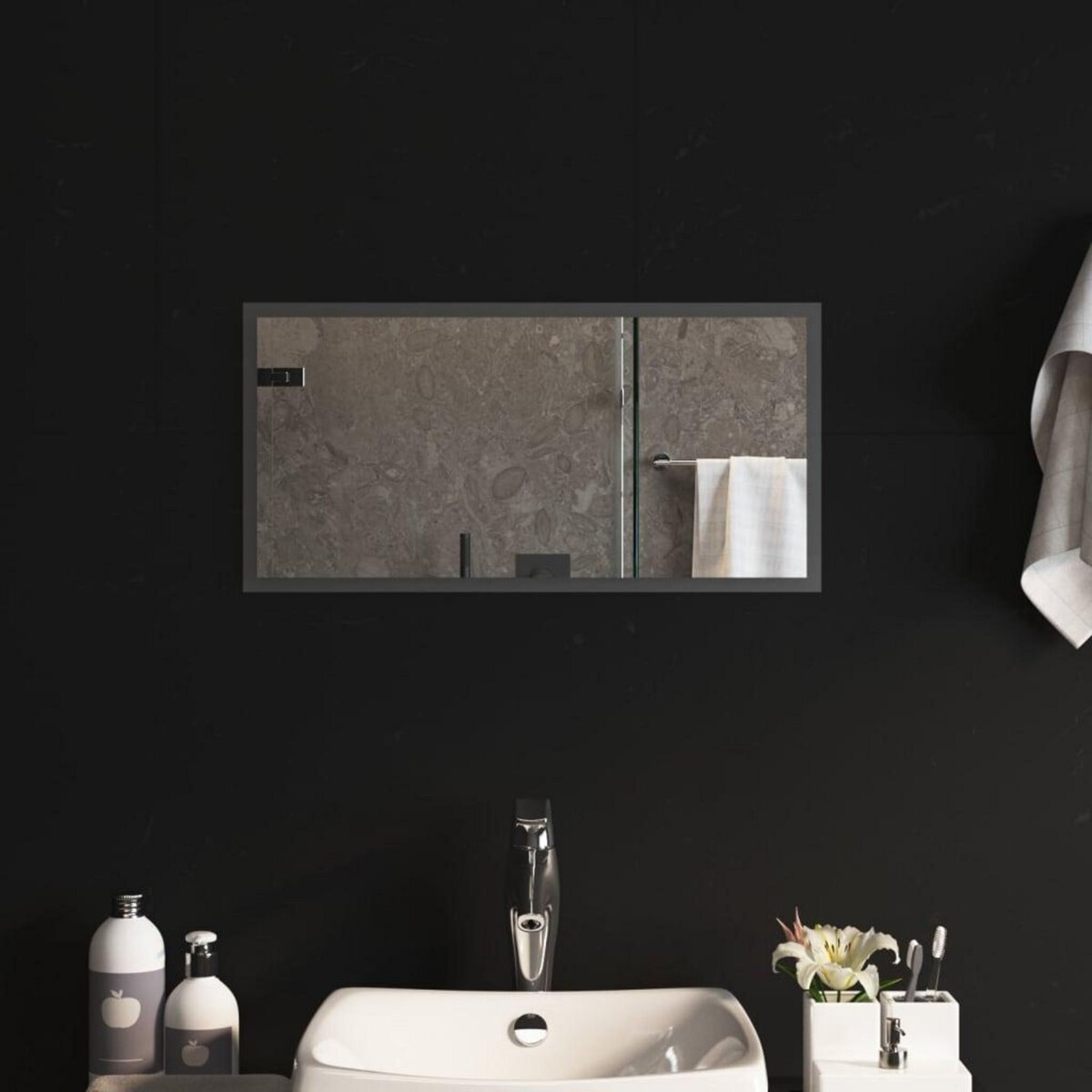 VIDAXL Miroir de salle de bain a LED 30x60 cm