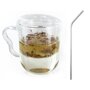 Youdoit Mug à thé avec poignée, infuseur et couvercle verre + 4 pailles en inox