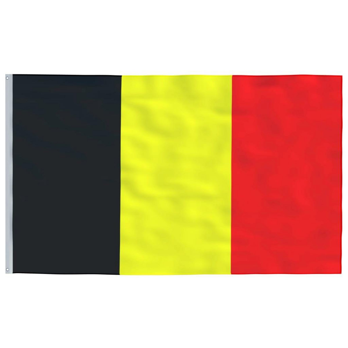 VIDAXL Drapeau Belgique 90x150 cm