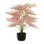 Voir la diapositive 1 : Paris Prix Plante Artificielle en Pot  Caladium  57cm Rose Clair