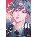 YOU'RE MY SOULMATE TOME 6 , Anashin