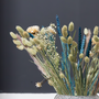 Voir la diapositive 3 : PLANT IN A BOX Fleurs séchées - Bouquet 'Trendy Cool'