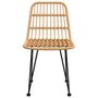 Voir la diapositive 4 : VIDAXL Chaises de jardin lot de 2 48x62x84 cm Resine tressee