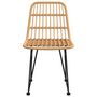 Voir la diapositive 4 : VIDAXL Chaises de jardin lot de 2 48x62x84 cm Resine tressee