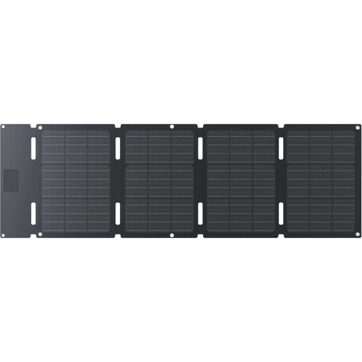 ECOFLOW Panneau solaire Panneau Solaire 45W USB-C