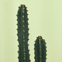 Voir la diapositive 5 : OUTSUNNY Cactus artificiel grand réalisme plante artificielle grande taille dim. Ø 18 x 120H cm vert