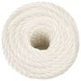 Voir la diapositive 3 : VIDAXL Corde de travail Blanc 14 mm 50 m polypropylene