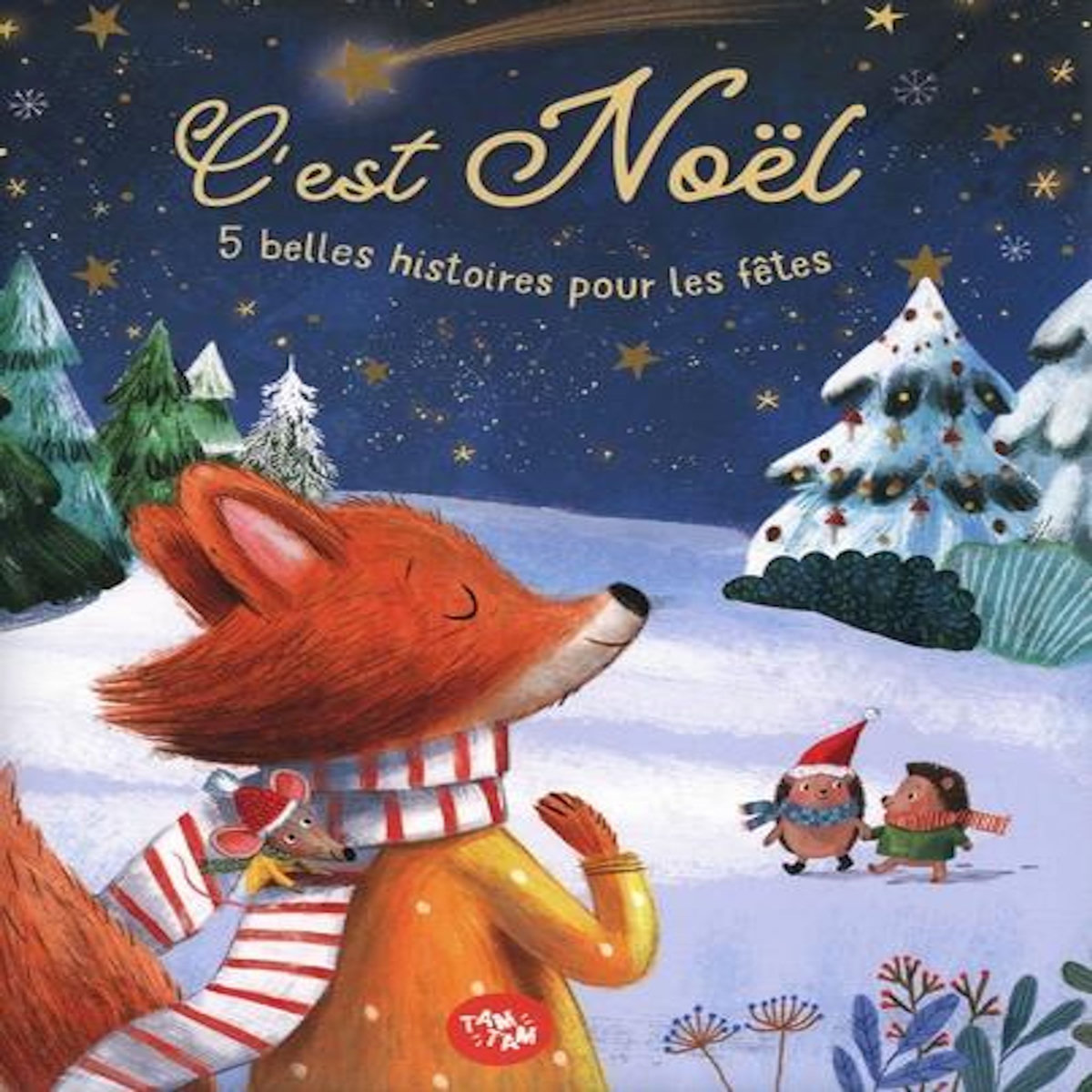 C'EST NOEL. 5 BELLES HISTOIRES POUR LES FETES, Harman Julie