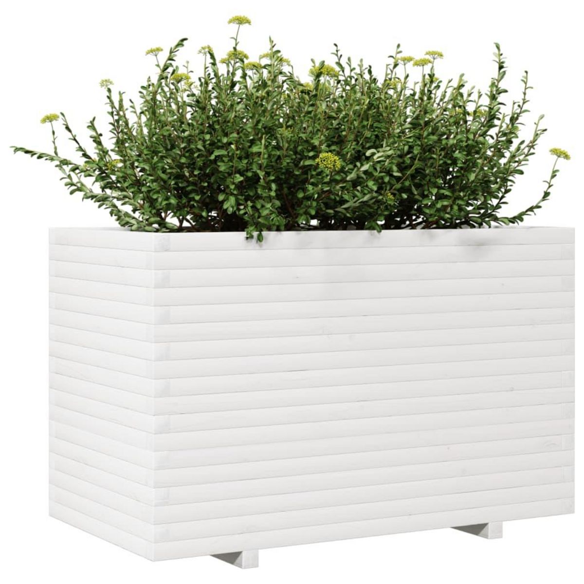 VIDAXL Jardiniere blanc 110x60x72 cm bois de pin massif