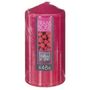 Voir la diapositive 3 : COMPTOIR DE LA BOUGIE Bougie Parfumée Ronde  Tami  395g Framboise