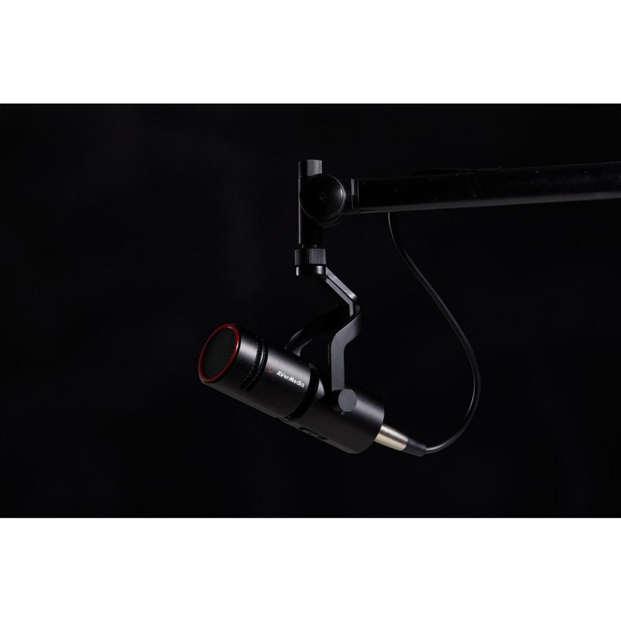 Voir la diapositive 2 : Avermedia Micro Live Streamer MIC 330 AM330