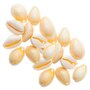 RICO DESIGN 20 perles coquillages naturels - 2 perforations