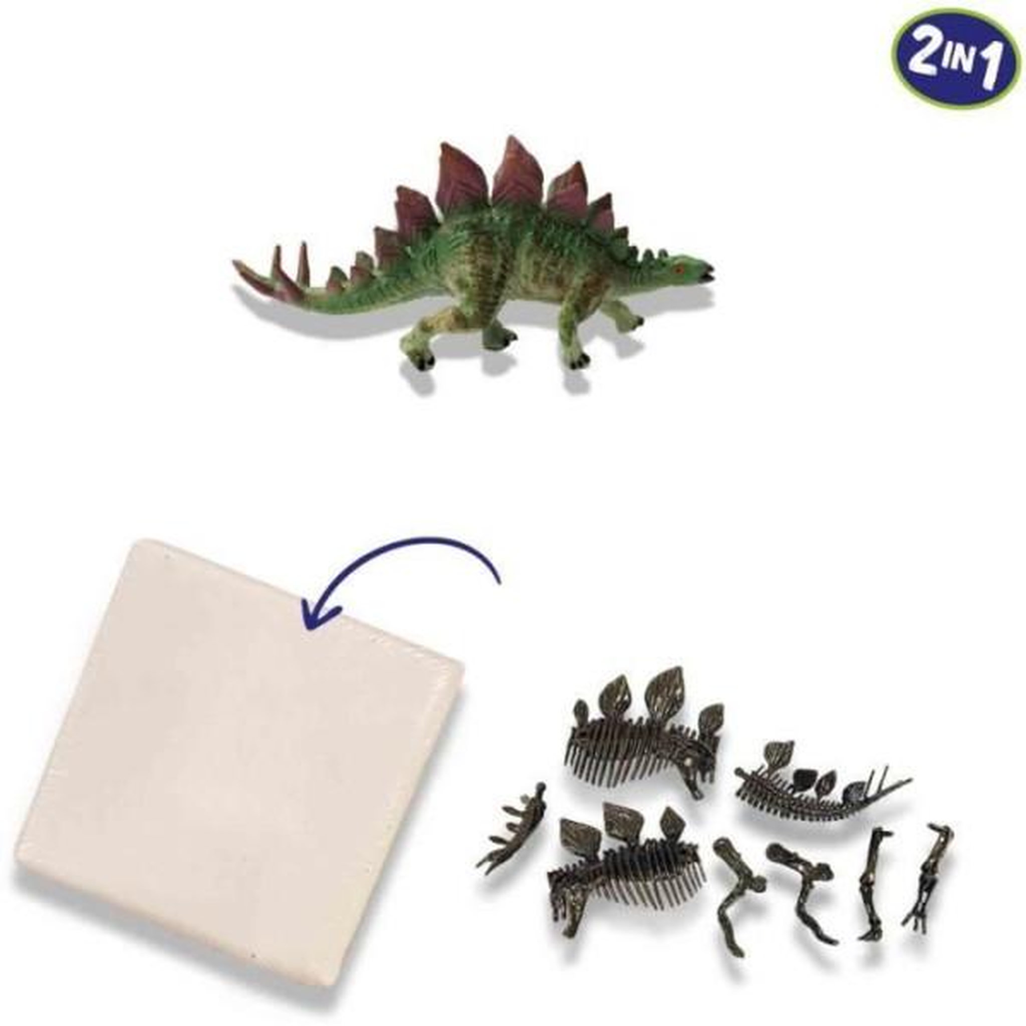 Voir la diapositive 4 : SES CREATIVE Fouille de dinosaures et de squelettes 2 en 1 - Stégosaure - SES CREATIVE