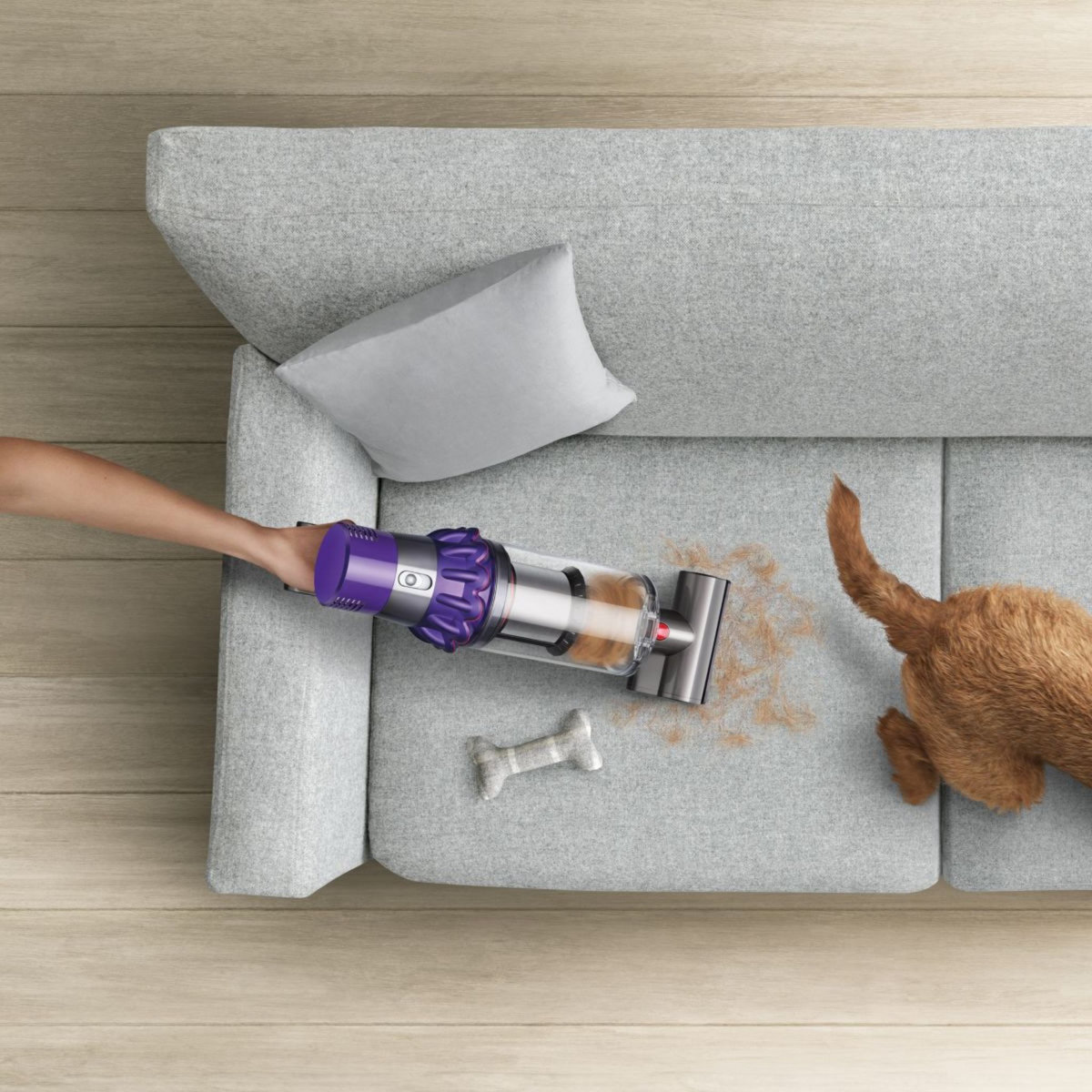 Dyson Aspirateur balai Cyclone V10 Animal