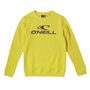 Voir la diapositive 1 : O'NEILL Sweat  Garçon O'Neill N4750003