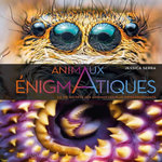 ANIMAUX ENIGMATIQUES. LA VIE SECRETE DES ANIMAUX LES PLUS IMPRESSIONNANTS, Serra Jessica